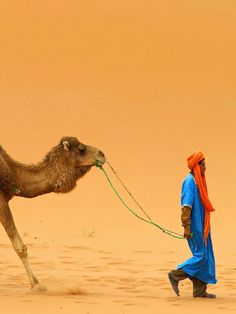 a man with a camel in the desert, wearing an orange turban and blue clothes