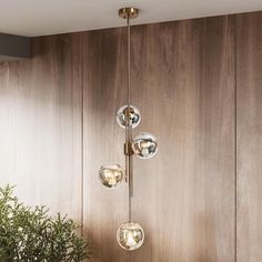 three glass balls hanging from the ceiling in front of a wood paneled wall and potted plant