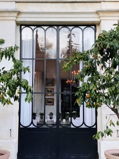 the front door to an old building with glass doors and potted trees in pots