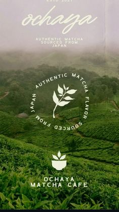 an advertisement for the organic match is shown in front of a green field with tea leaves