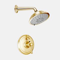 an overhead shower head with thermostaer and hand showerhead in polished brass