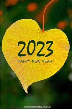 Happy New Year 2023 Wilderside Images Happy New Year Greetings 2023, New Year Greetings 2023, New Year Wishes 2023, Happy New Year Messages, New Year Messages, 2023 Wallpapers, New Year Wishes Images