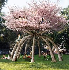 a group of people sitting on top of a lush green field under a tree covered in pink flowers