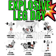 an exercise poster showing the exercises to do for each leg day, including bench presss and