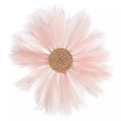 a white flower with pink feathers on it's center and a brown circle in the middle