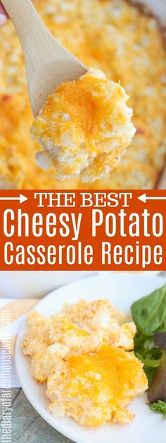 the best cheesy potato casserole recipe