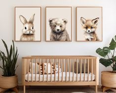 three pictures of baby animals hanging on the wall next to a crib and potted plant