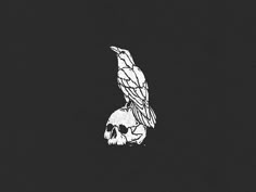 a black and white photo of a bird sitting on top of a skull in the dark