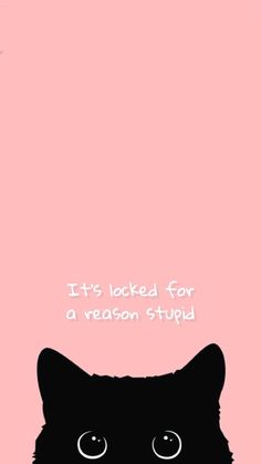 #wallpaper #lockscreen #funny Ipad Funny Wallpaper, Funny Home Screen Wallpaper, Weird Wallpapers Funny, Cute Iphone Wallpaper Lockscreen, Funny Phone Wallpaper Humor, Lock Screen Wallpaper Cat, Funny Backgrounds Wallpapers, Put The Phone Down Wallpaper