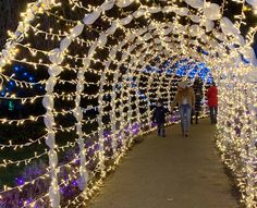 people walking down a pathway covered in lights