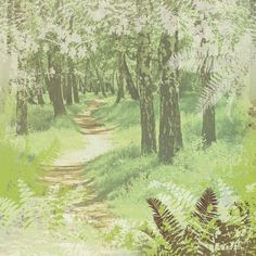 an image of a path in the woods