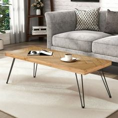 a living room with a gray couch and coffee table