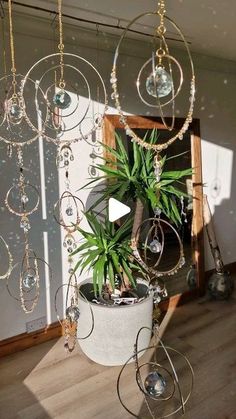 a potted plant is hanging from the ceiling in front of a mirror and other decorations