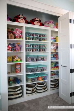 the closet is full of toys and other items for children's playrooms