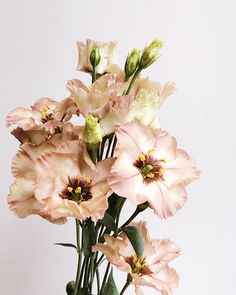 a vase filled with pink flowers on top of a table