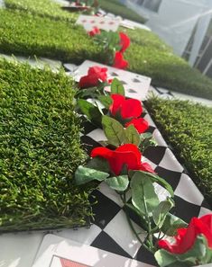 red roses are lined up along the edge of a black and white checkered table