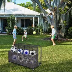 two young boys playing with soccer balls on the grass in front of a house and palm trees