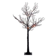 a lighted tree with no leaves is shown on a white background, it's dark and bare