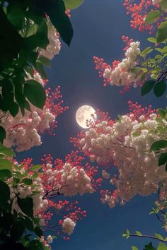 the full moon is shining brightly in the sky above some trees with red and white flowers