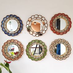 four circular mirrors hanging on the wall next to a potted plant and vase with flowers in it