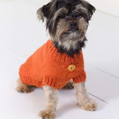 a small dog wearing an orange sweater sitting on top of a white floor and looking at the camera