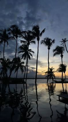 palm trees are reflected in the water as the sun goes down over the ocean on a cloudy day