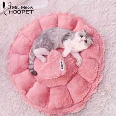 a gray and white cat laying on top of a pink heart shaped cushion with the word mr meow hoopet