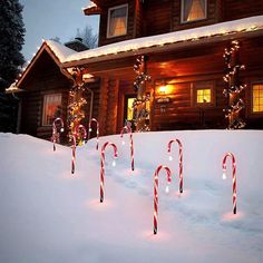 Candy Cane Solar Lights Cane Lights, Lawn Lights, Set Decor, Pathway Lighting, Outdoor Christmas Lights, Garden Pathway, Outdoor Lawn, Incandescent Lighting, Lawn Decor