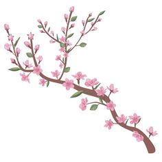 a branch with pink flowers on it and green leaves in the center, isolated against a white background