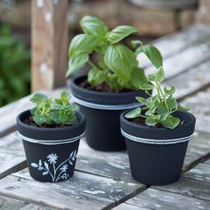 three potted plants sitting on top of a wooden table next to another planter