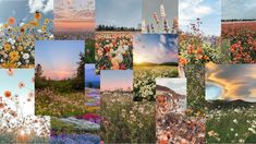 a collage of pictures with flowers and sky in the background, including sunsets