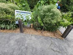 there are many plants growing in the garden area, and one planter is next to it