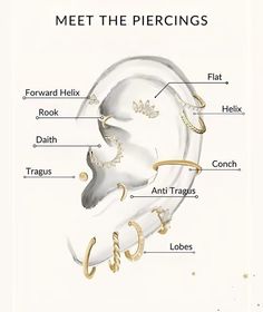 diagram of the parts of a human's ear and its major structures, including their names