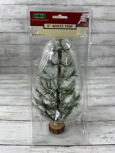 a small white pine tree in a plastic package