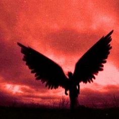 the silhouette of a bird with its wings spread in front of an orange and pink sky