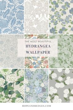 the most beautiful hydrangea wallpapers in blue, green and white colors