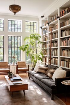 a living room filled with furniture and lots of books