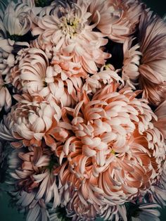 a bunch of flowers that are in the middle of some kind of flower arrangement on a table