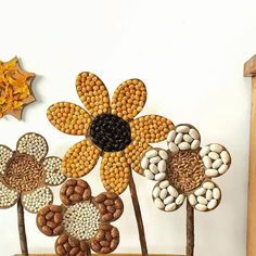 a group of flowers made out of candy sticks on top of a wooden shelf next to a star