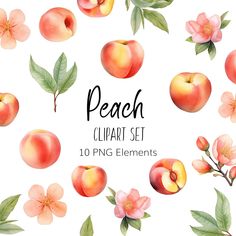 peach clipart set with flowers and leaves