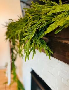 a green plant is hanging from the mantle