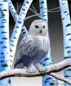 a white owl sitting on top of a tree branch in front of some blue trees