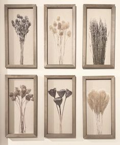 four framed pictures with flowers in them hanging on the wall