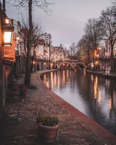 a river running through a city with lots of lights on the buildings and trees in front of it