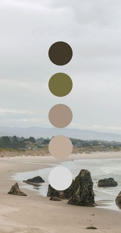 a group of rocks sitting on top of a sandy beach