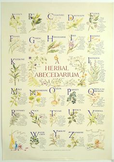 a poster with the names and symbols of herbs in english, french, and spanish