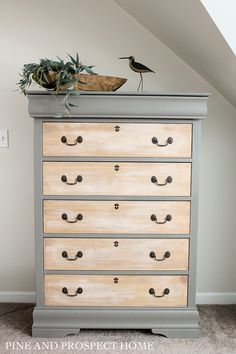 a dresser with drawers and a bird on top