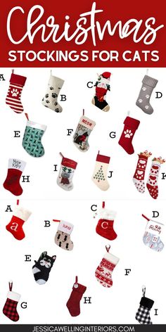 christmas stockings for cats with the letters f and f on them