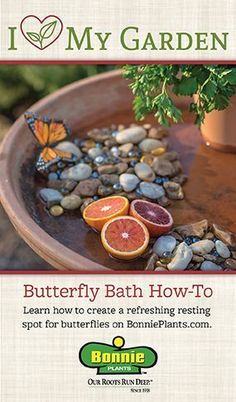 an advertisement for a butterfly bath how - to with oranges and other fruits in a bowl