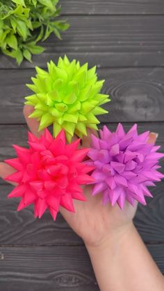 three different colored flowers in someone's hand